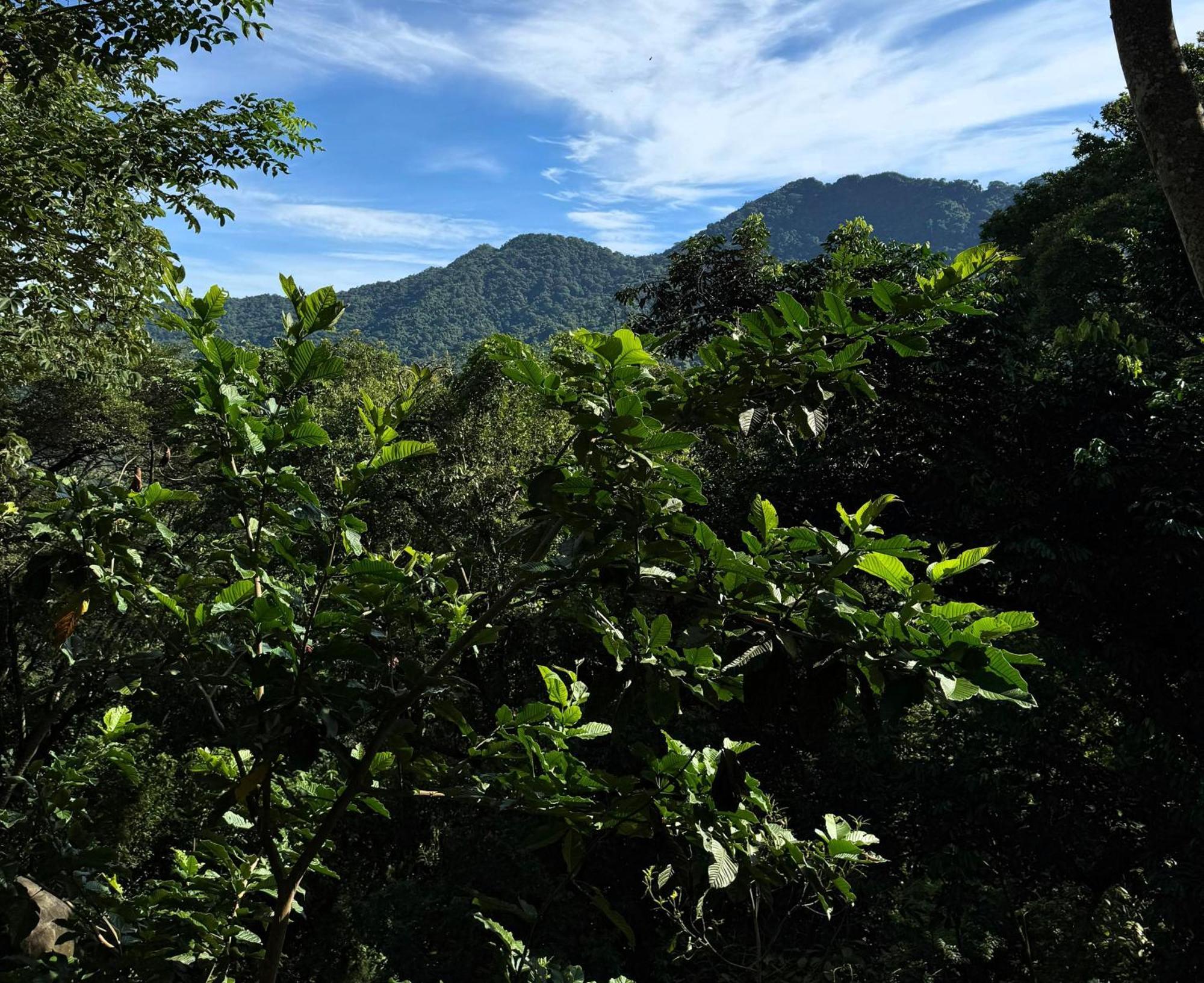 Eden Los Abuelos 2 - Casa Privada En Minca Nature Exteriér fotografie